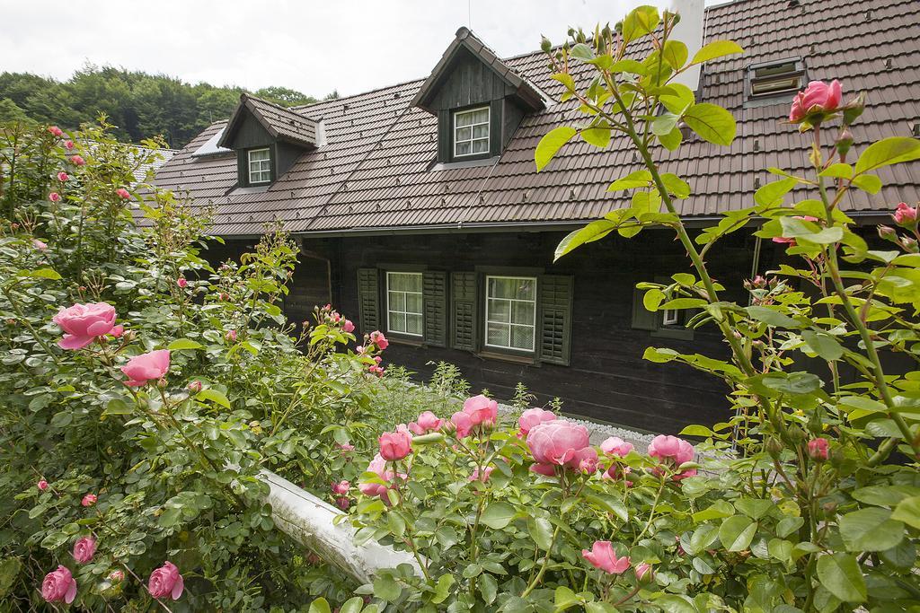 Das Altsteirische Landhaus - La Maison De Pronegg - Feriendomizil Im Biosphaerenpark Wienerwald Pressbaum Room photo